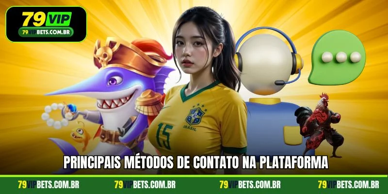 Principais métodos de contato na plataforma